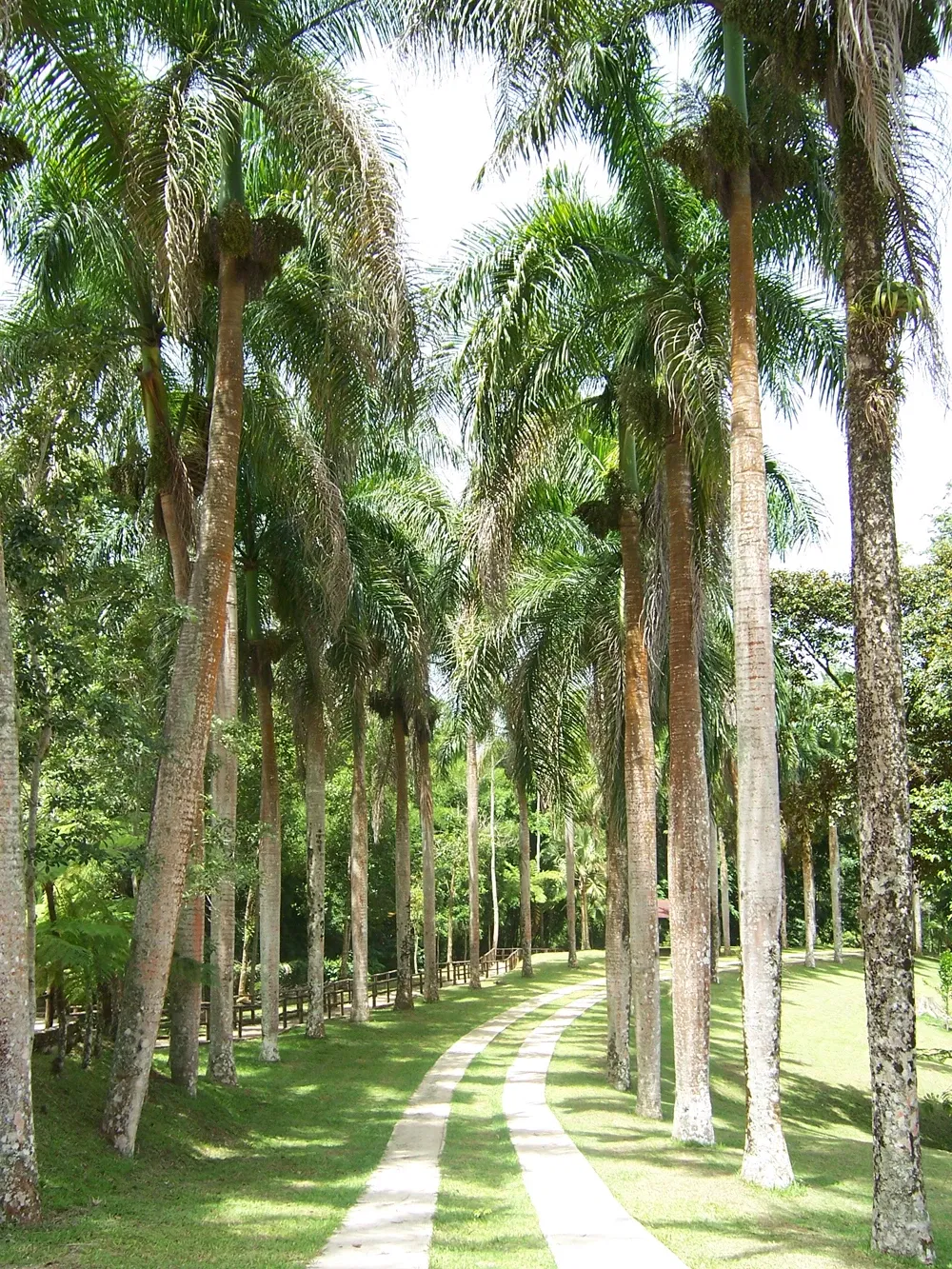 Caguana Ceremonial Indigenous Heritage Center