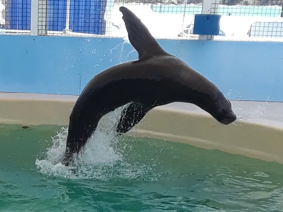 Coral World Ocean Park