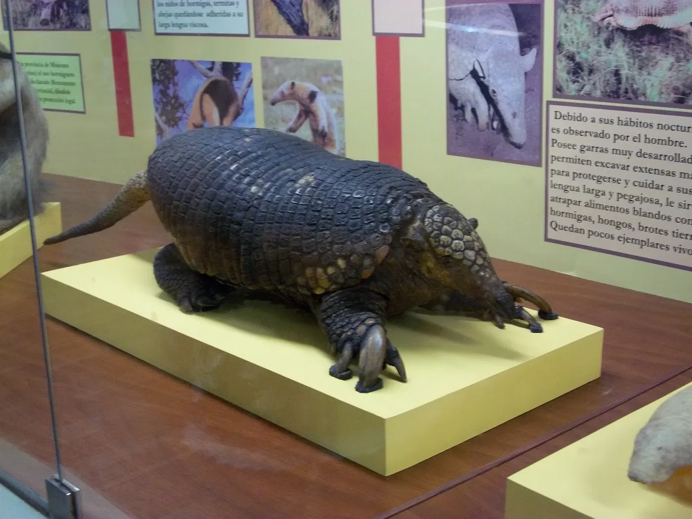 Museo Provincial de Ciencias Naturales