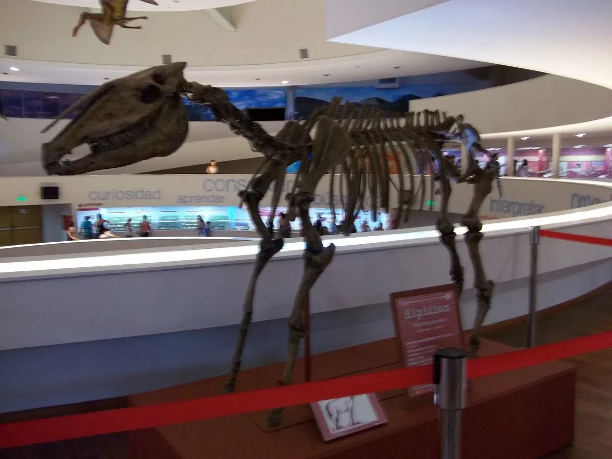 Museo Provincial de Ciencias Naturales