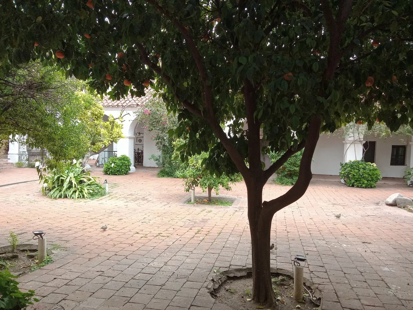 Museo de Arte Religioso Juan de Tejeda