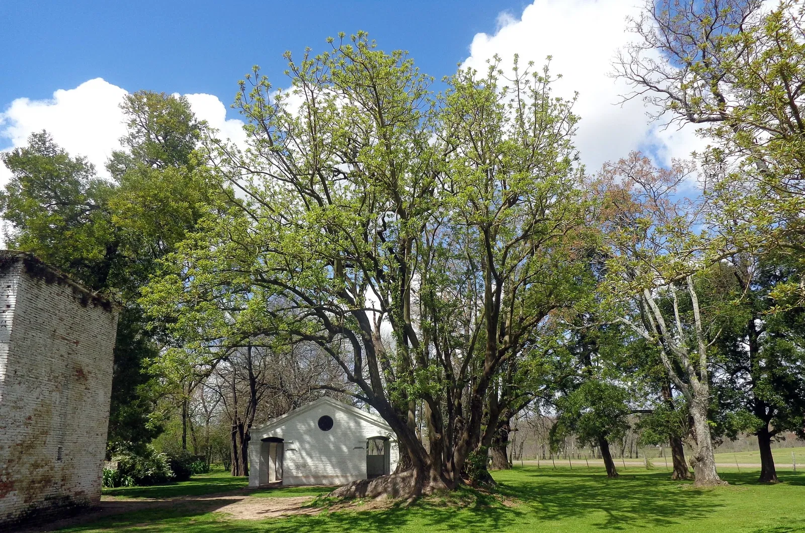 Museo Ricardo Guiraldes
