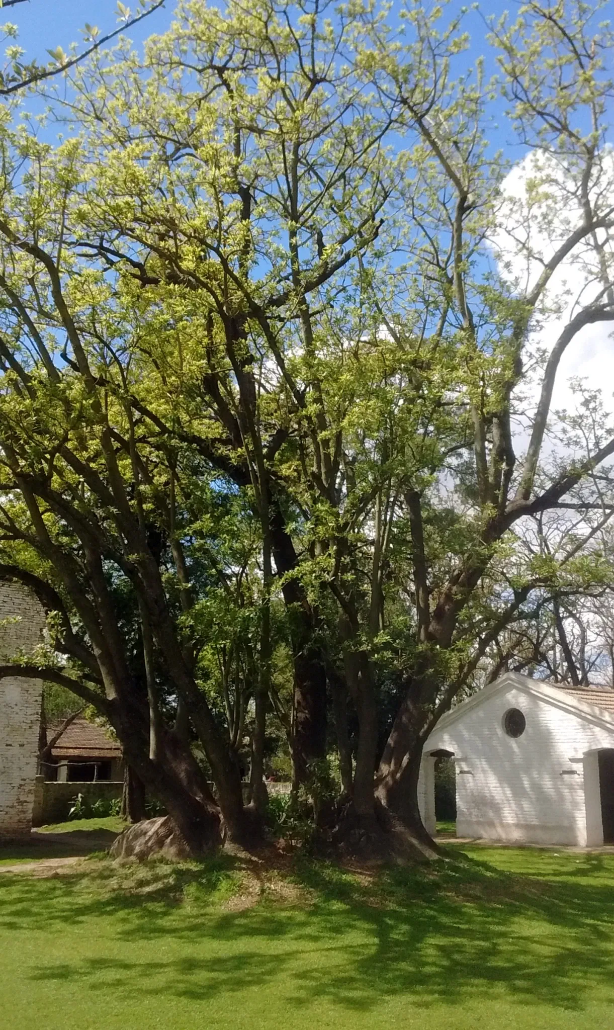 Museo Ricardo Guiraldes