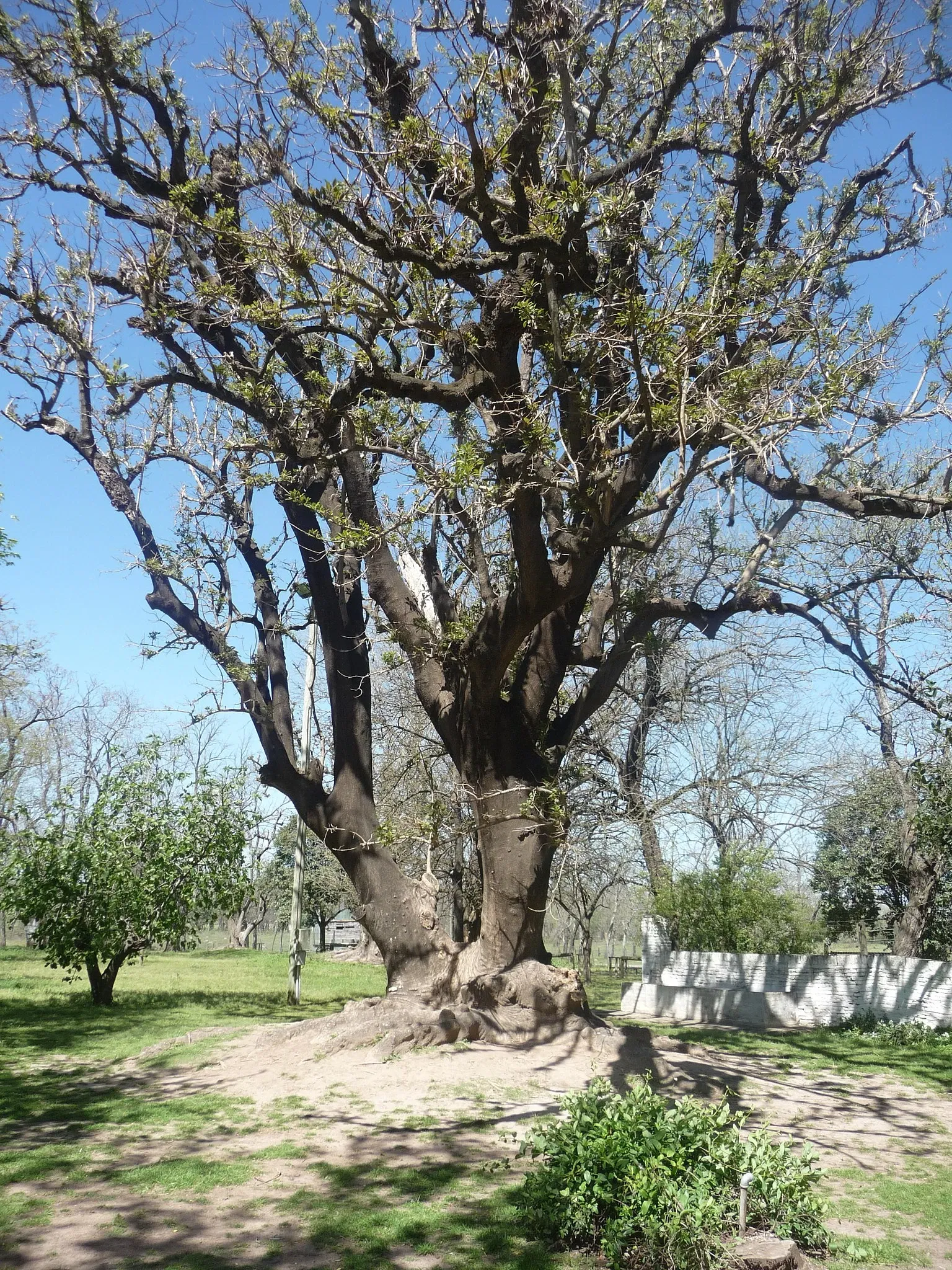 Museo Ricardo Guiraldes