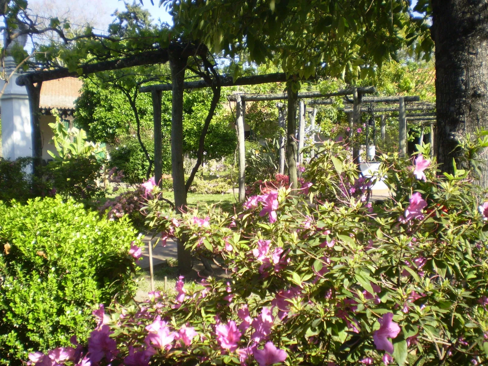 Basílica Menor y Convento de San Francisco