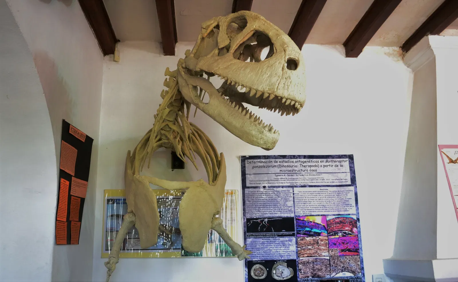 Carlos Ameghino Provincial Museum