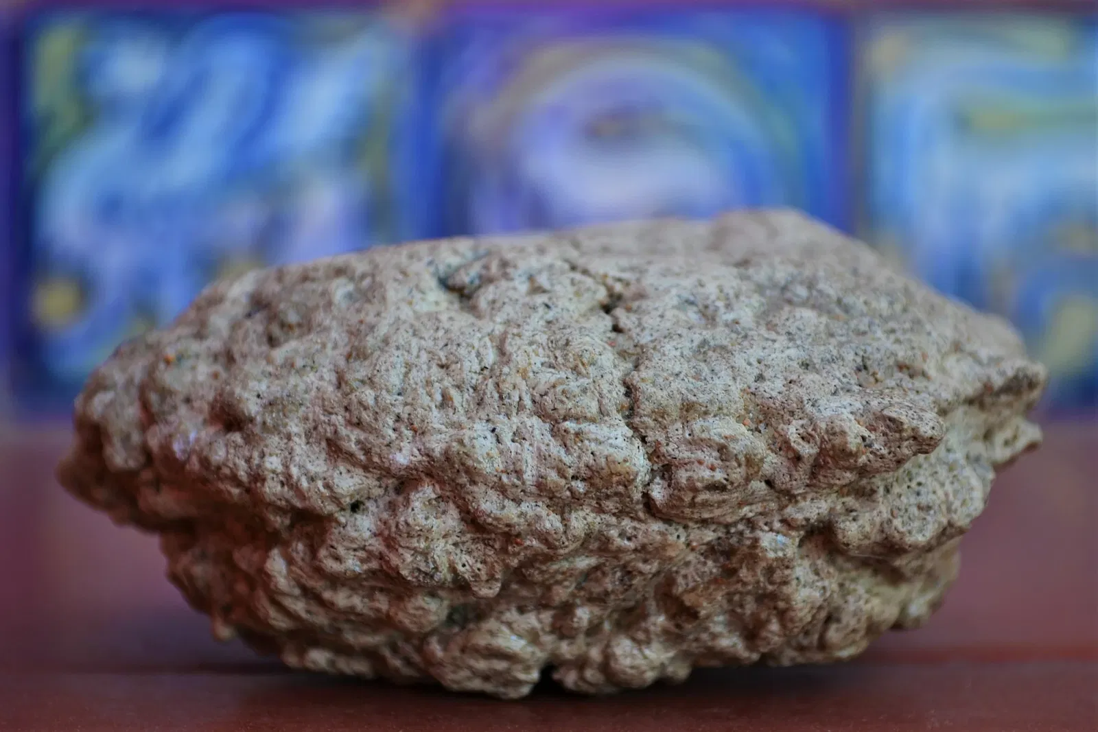 Carlos Ameghino Provincial Museum