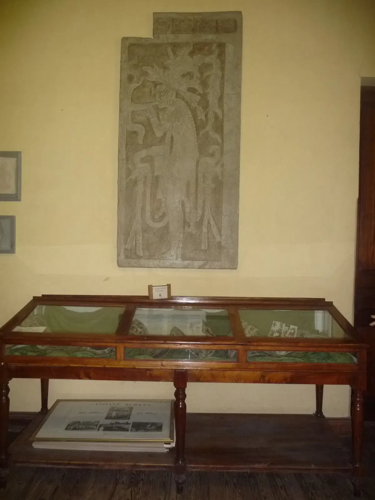 Regional museum and Americanista