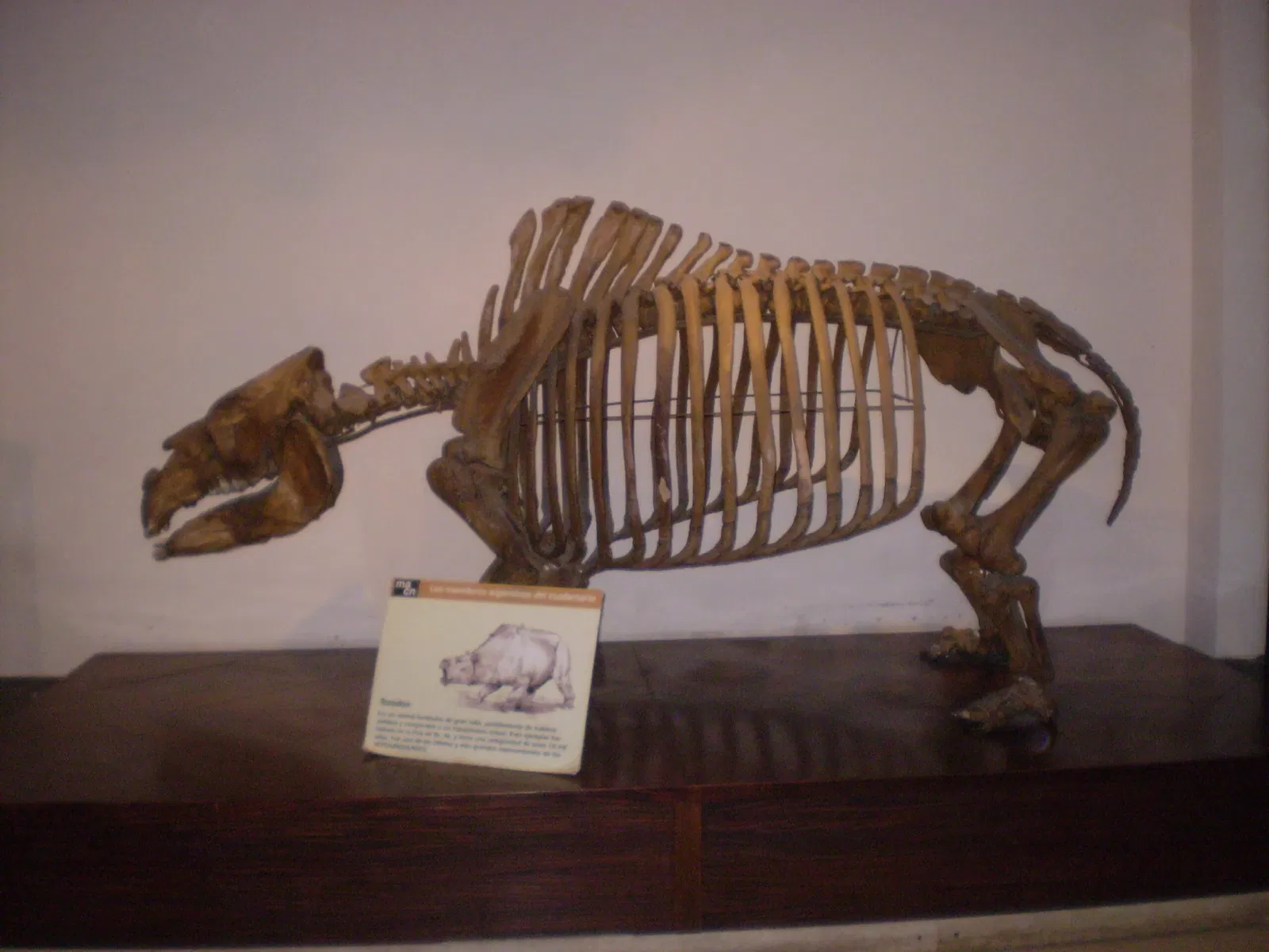 Museo Argentino de Ciencias Naturales