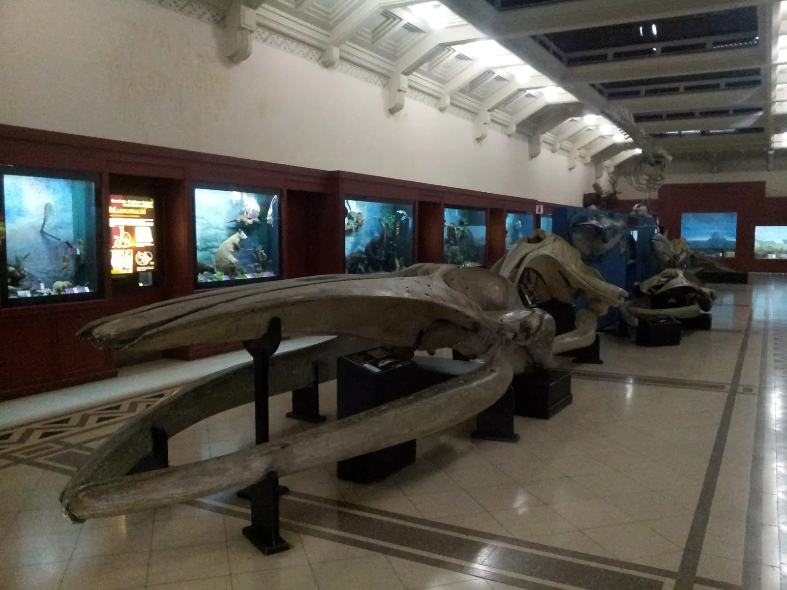 Museo Argentino de Ciencias Naturales Bernardino Rivadavia