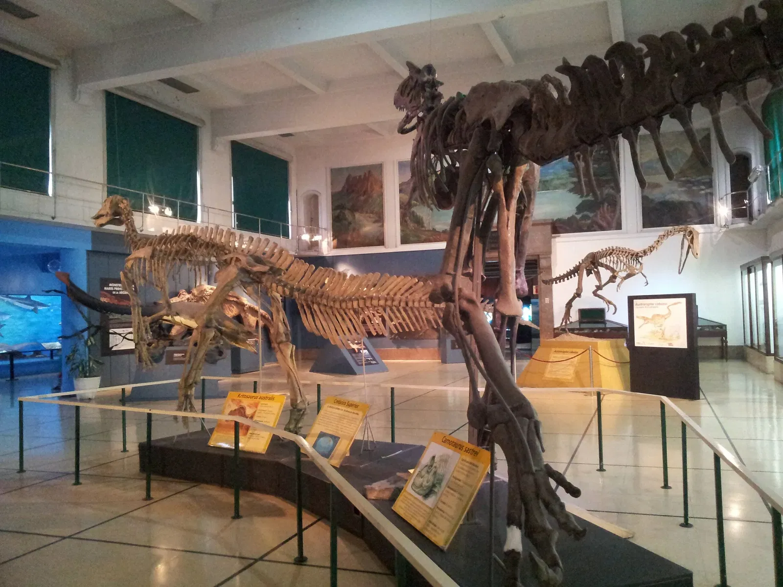 Bernardino Rivadavia Natural Sciences Museum