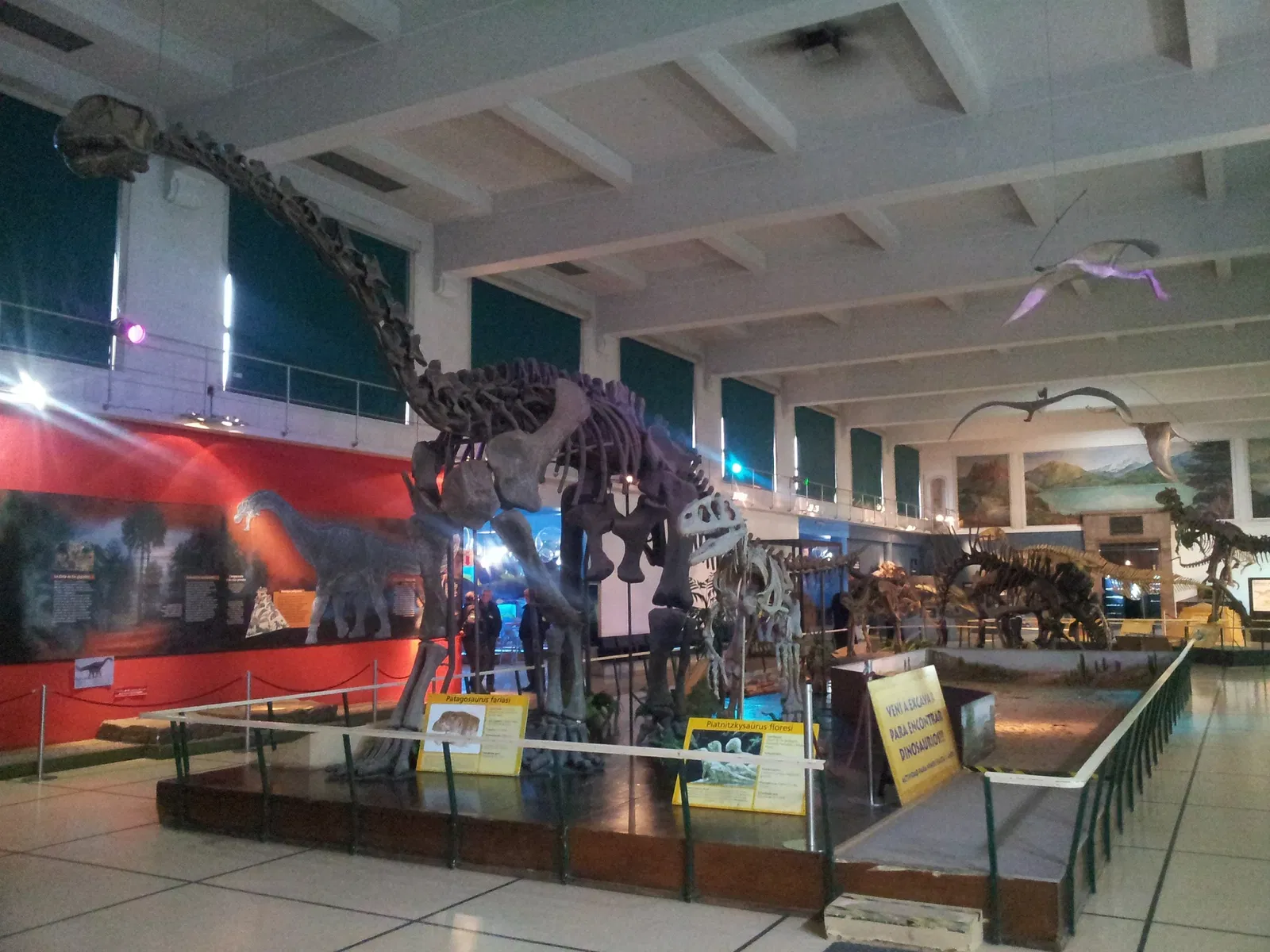 Museo Argentino de Ciencias Naturales