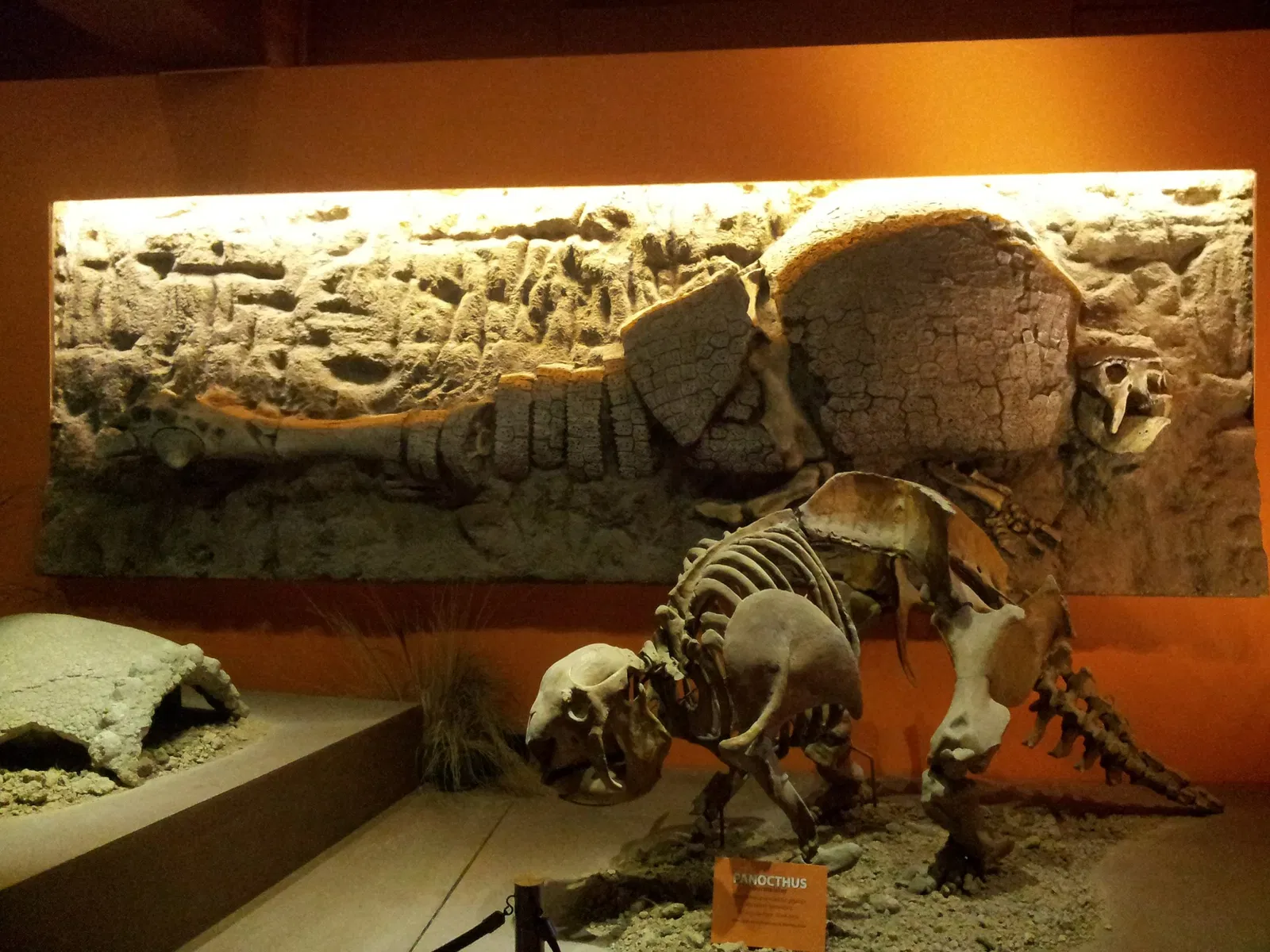 Museo Argentino de Ciencias Naturales