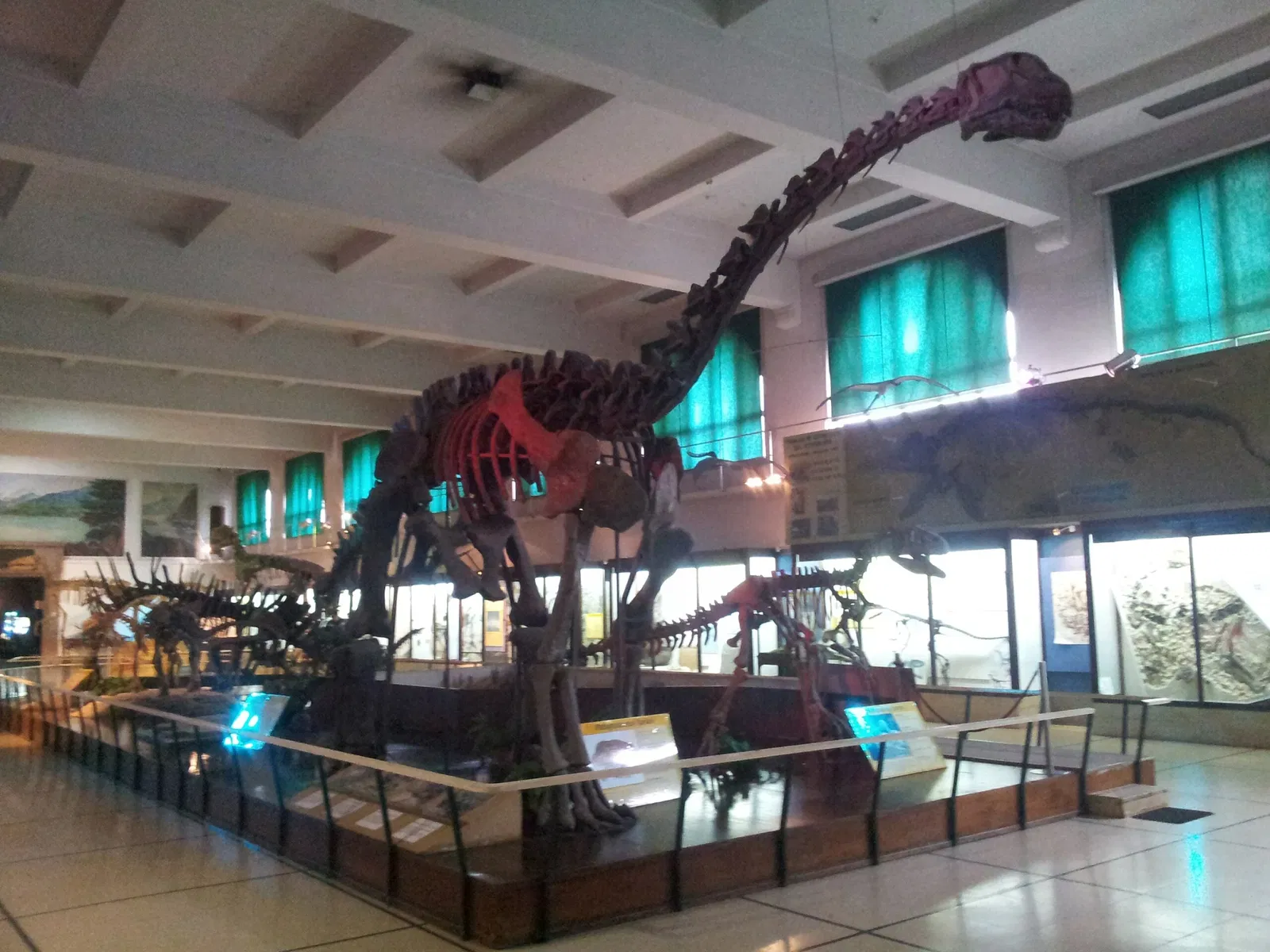 Bernardino Rivadavia Natural Sciences Museum