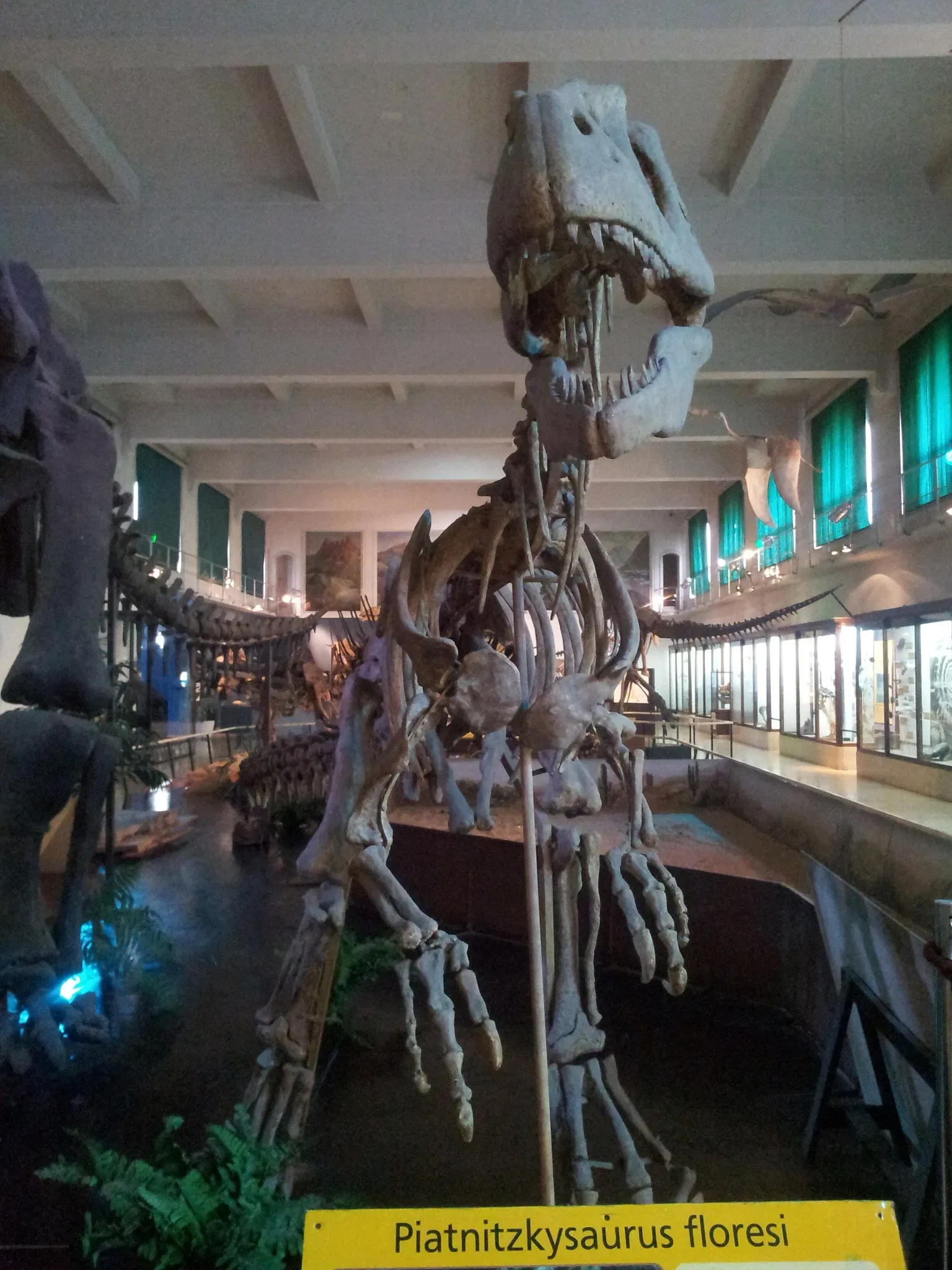 Museo Argentino de Ciencias Naturales