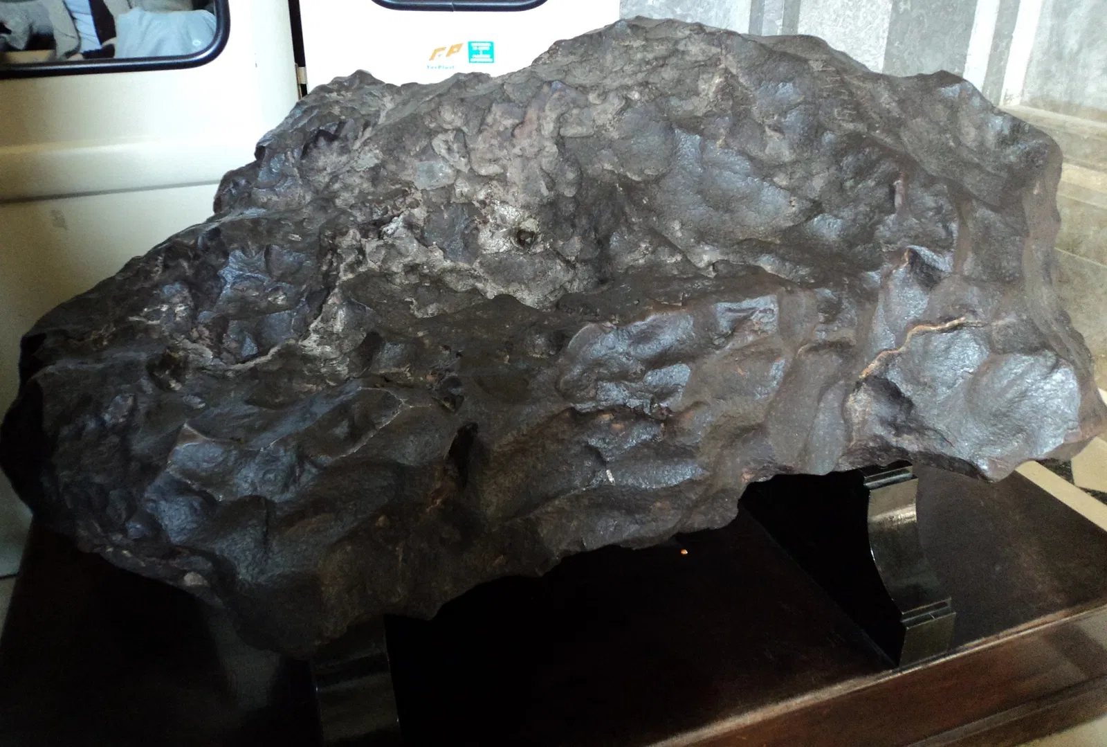 Museo Argentino de Ciencias Naturales Bernardino Rivadavia