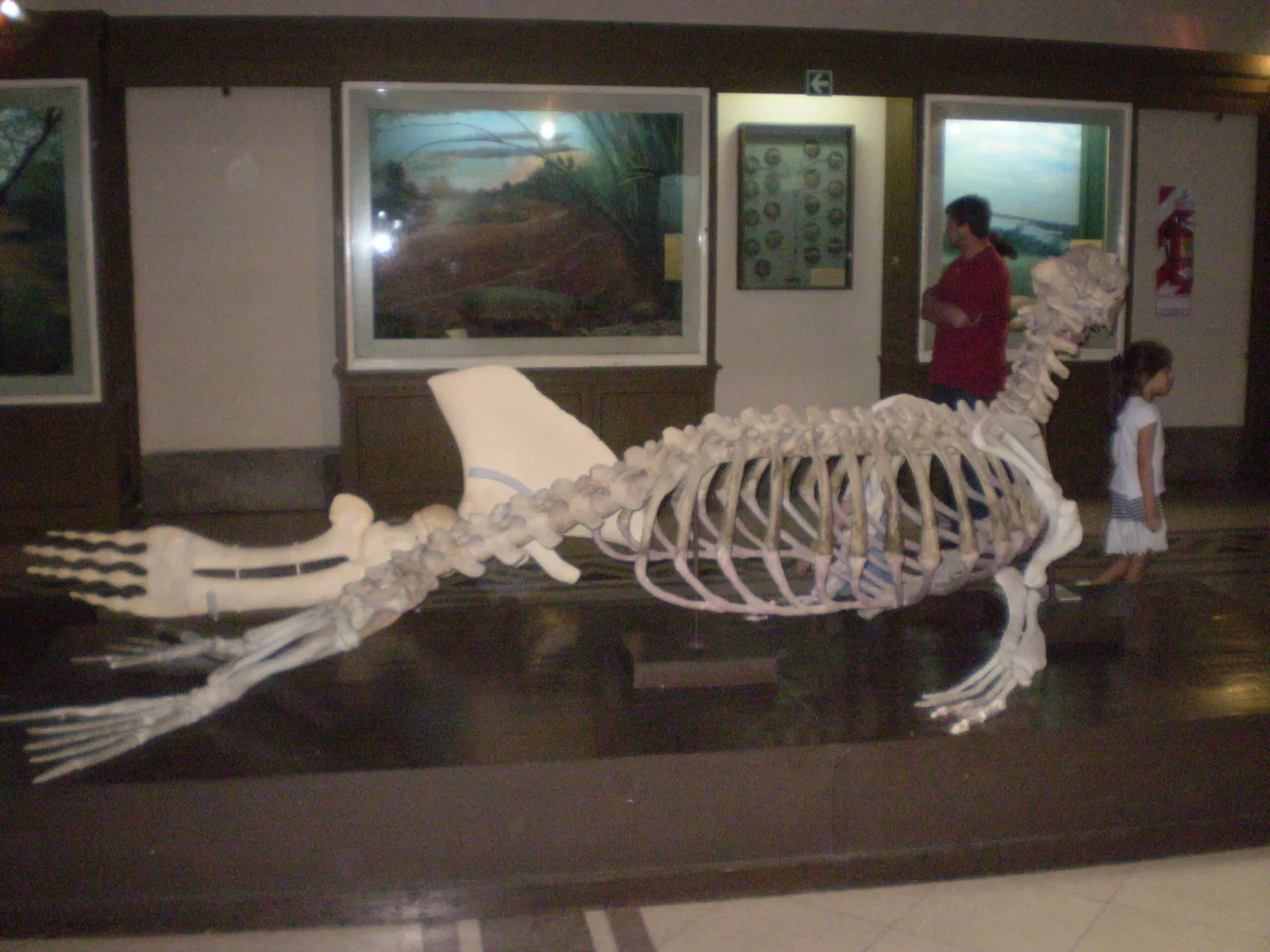 Museo Argentino de Ciencias Naturales