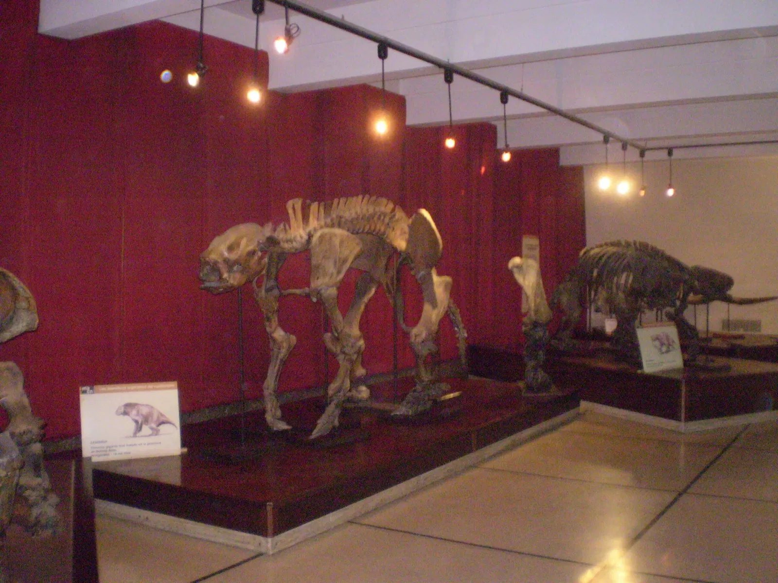 Bernardino Rivadavia Natural Sciences Museum