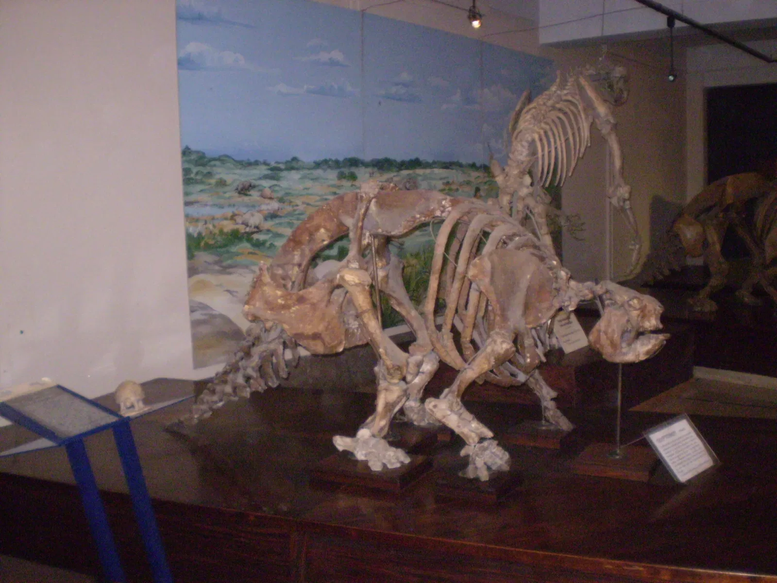 Museo Argentino de Ciencias Naturales Bernardino Rivadavia