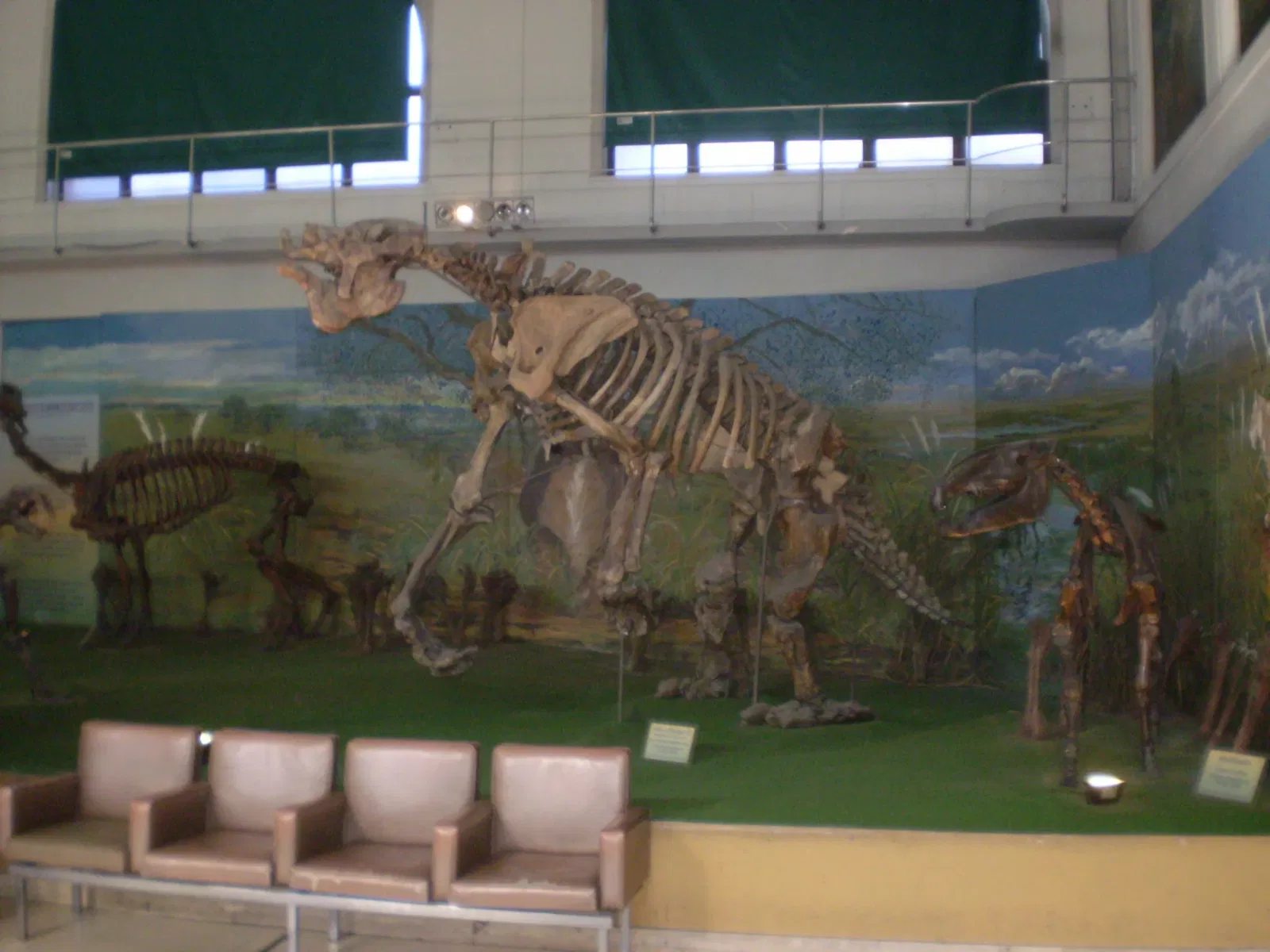 Musée argentin des sciences naturelles