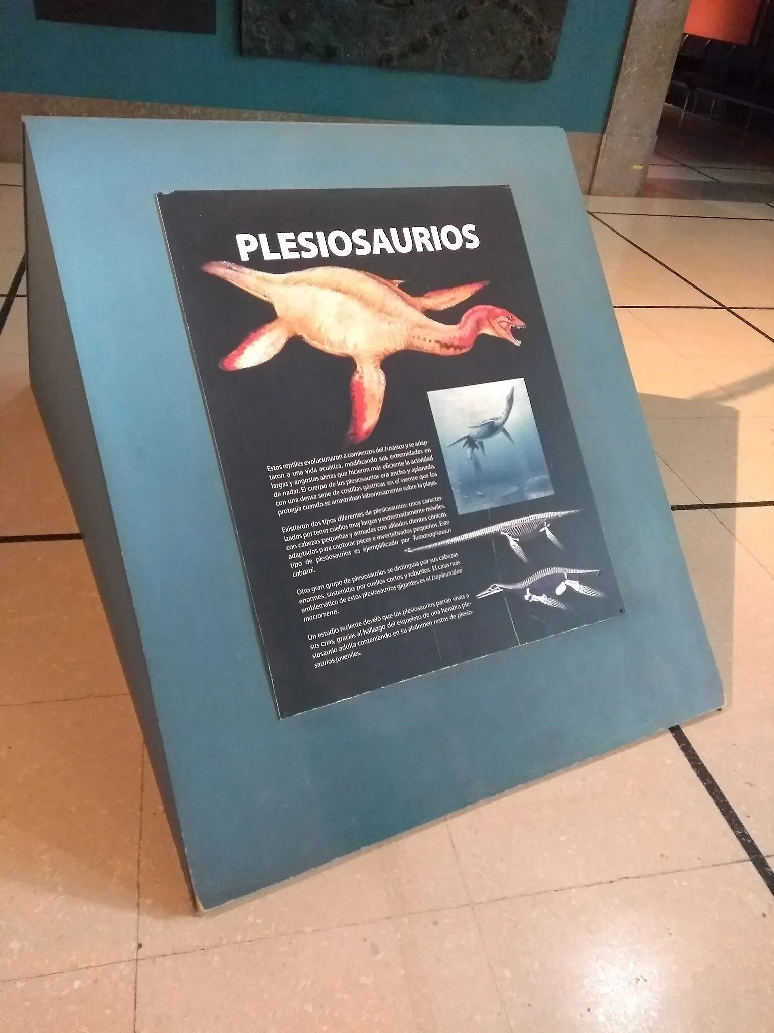 Musée argentin des sciences naturelles