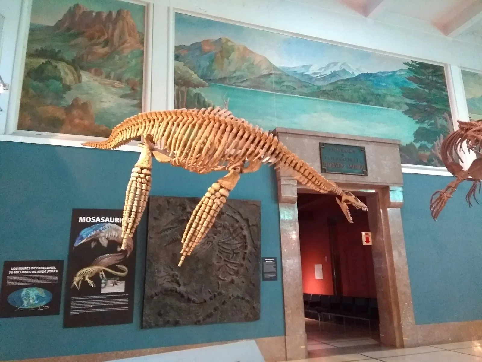 Museo Argentino de Ciencias Naturales