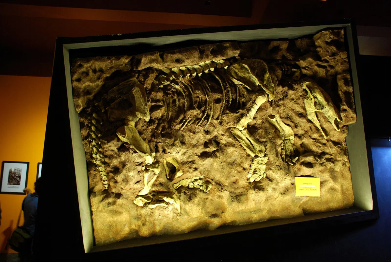 Bernardino Rivadavia Natural Sciences Museum