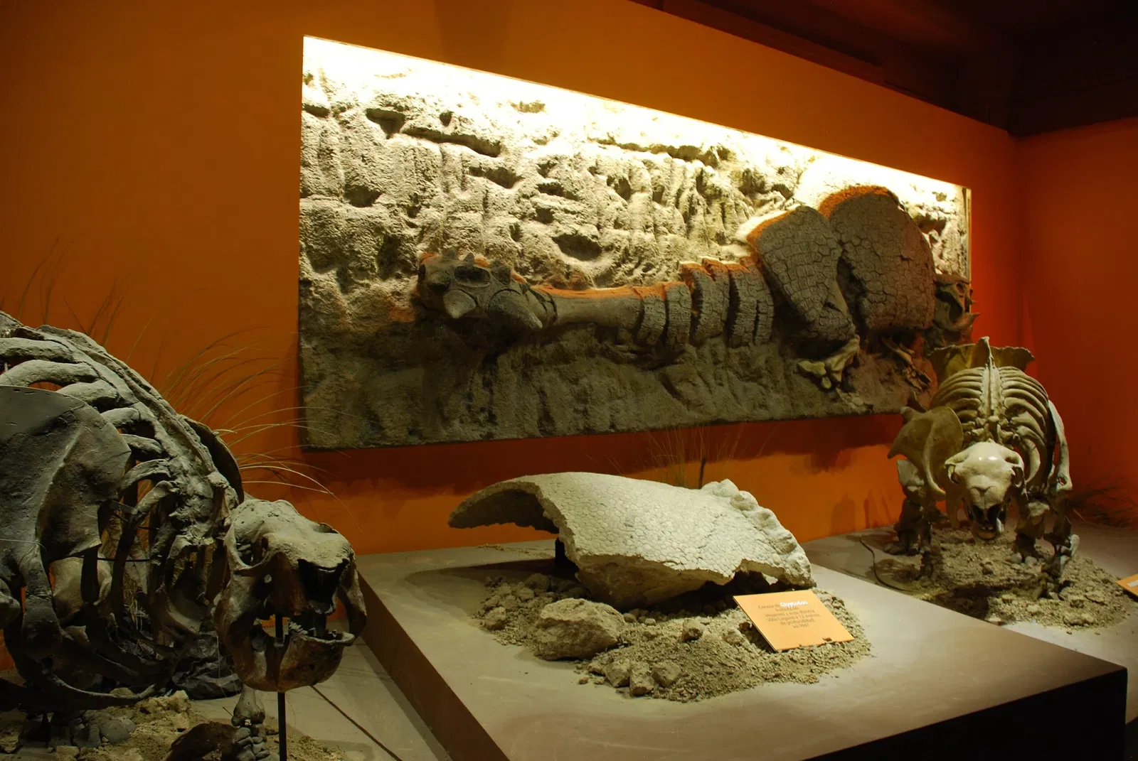 Museo Argentino de Ciencias Naturales