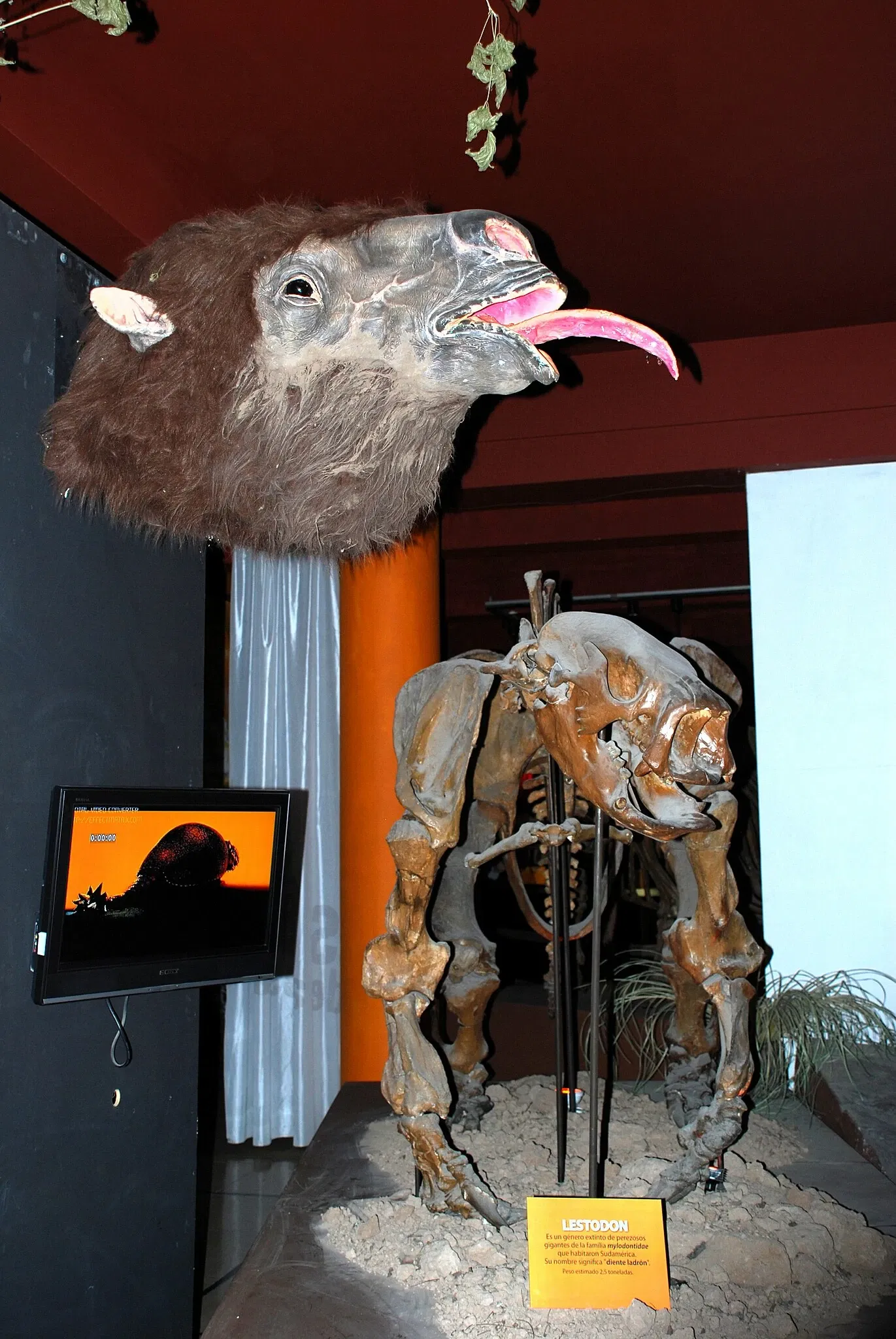 Museo Argentino de Ciencias Naturales
