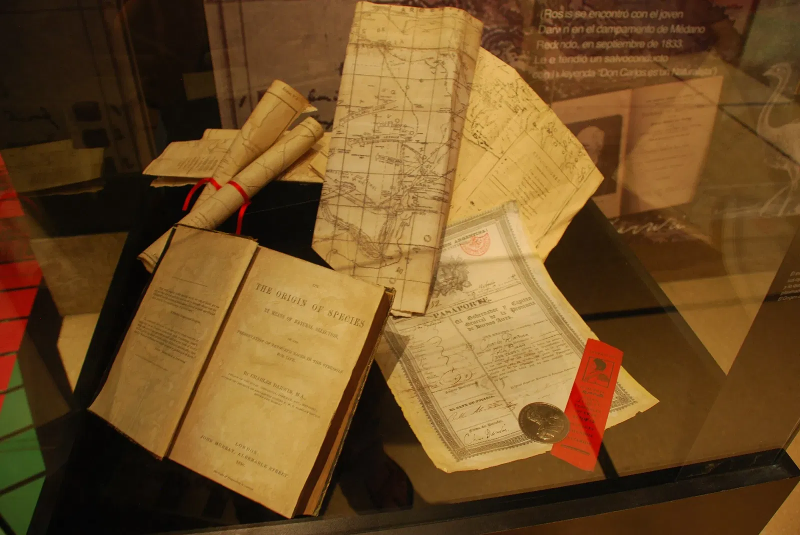 Museo Argentino de Ciencias Naturales