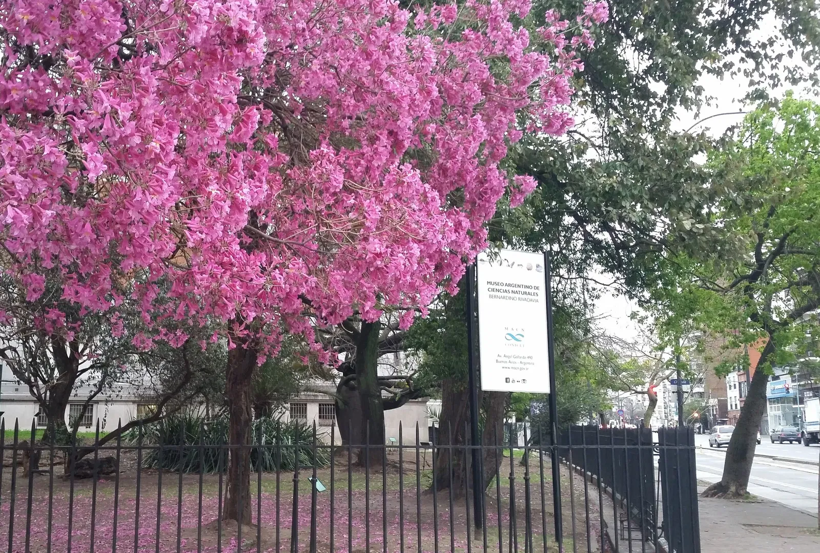 Museo Argentino de Ciencias Naturales Bernardino Rivadavia