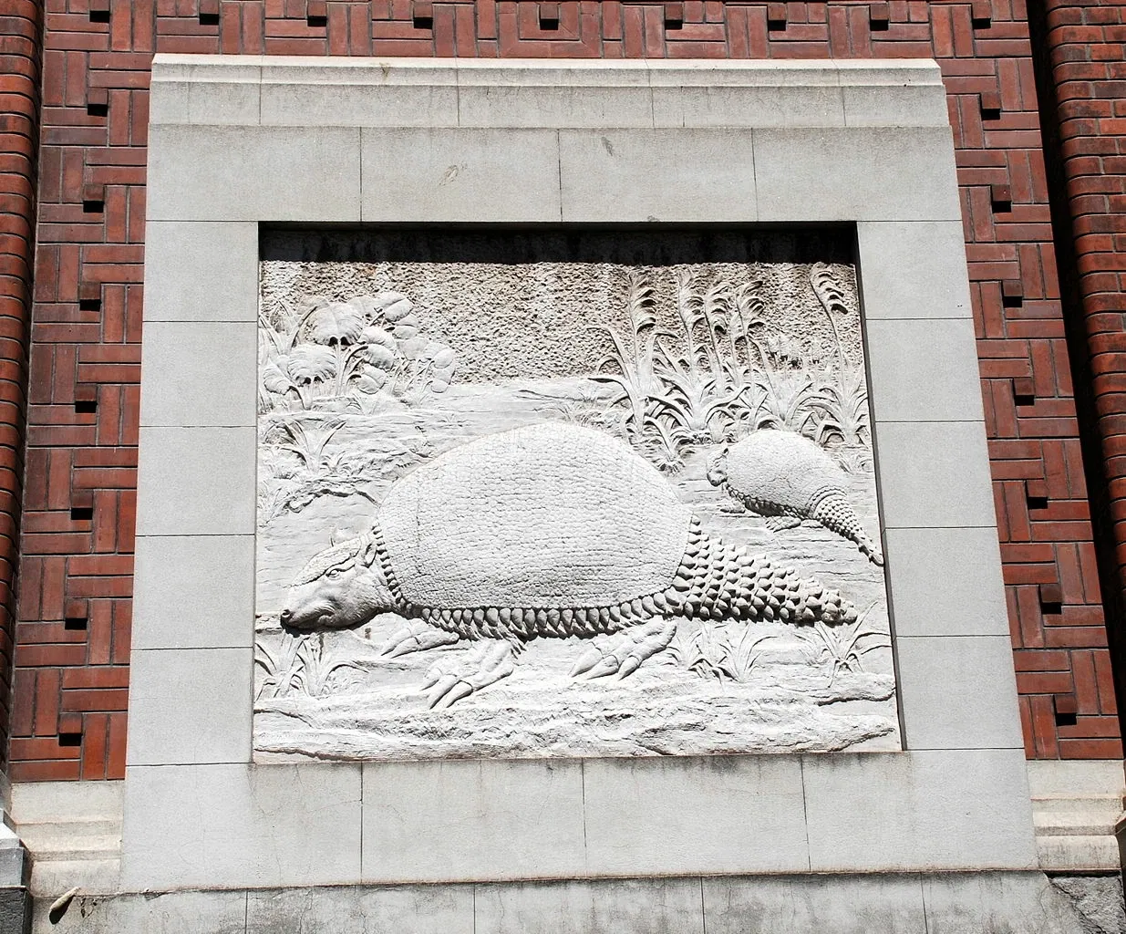 Musée argentin des sciences naturelles