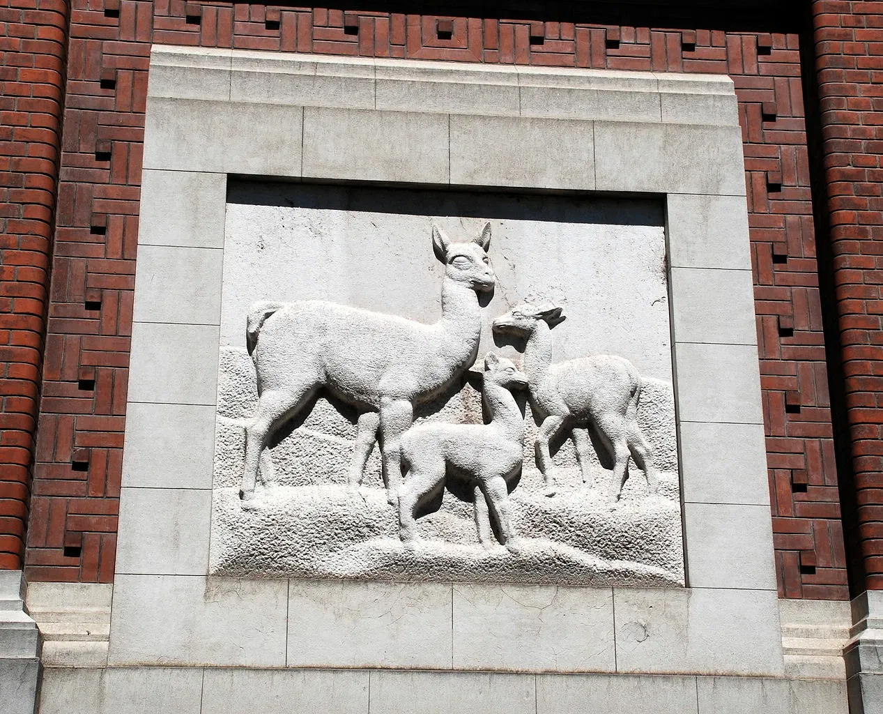 Museo Argentino de Ciencias Naturales Bernardino Rivadavia