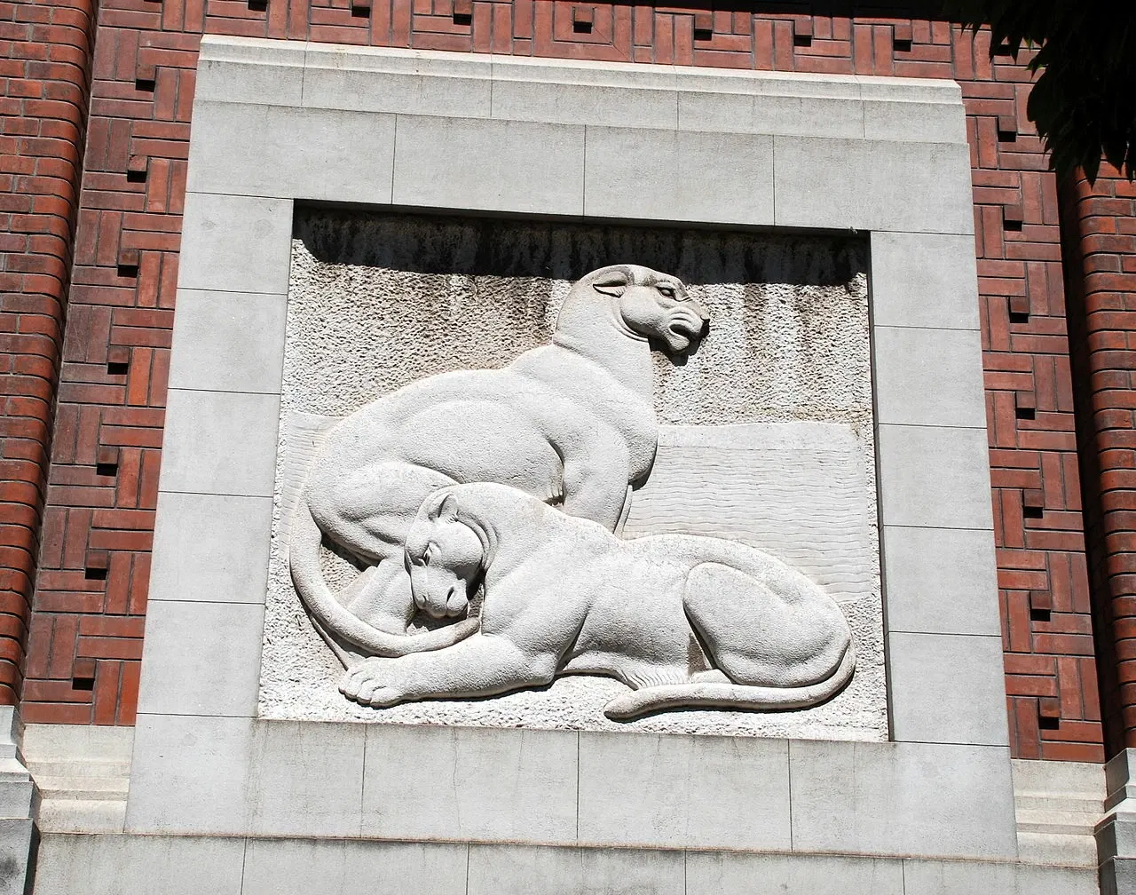 Musée argentin des sciences naturelles