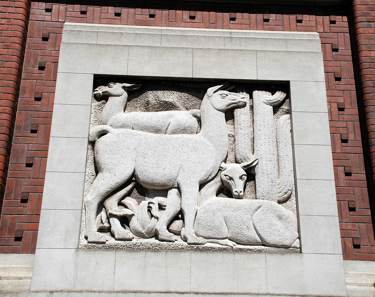 Museo Argentino de Ciencias Naturales