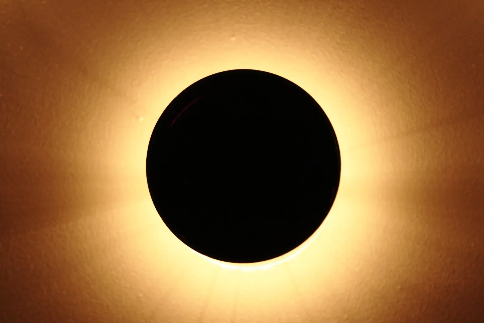 Musée national des Beaux-Arts (Argentine)