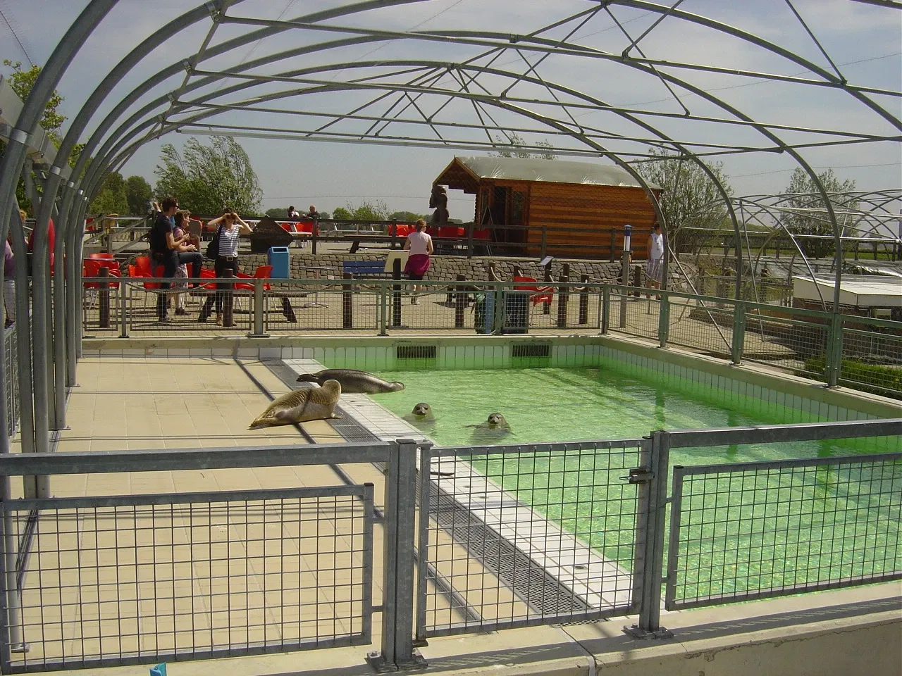 Zeehondencentrum Pieterburen