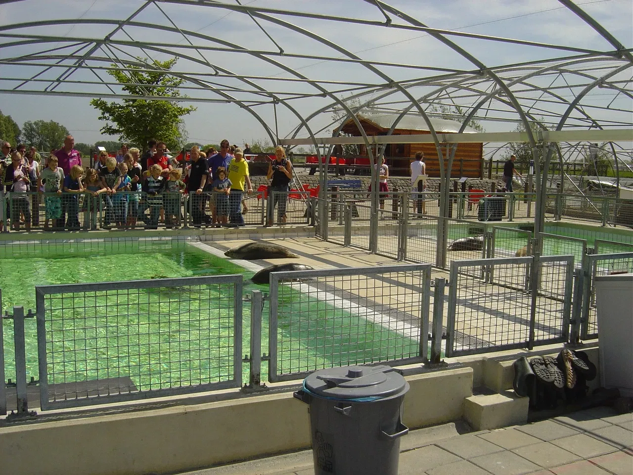 Sealcenter Pieterburen