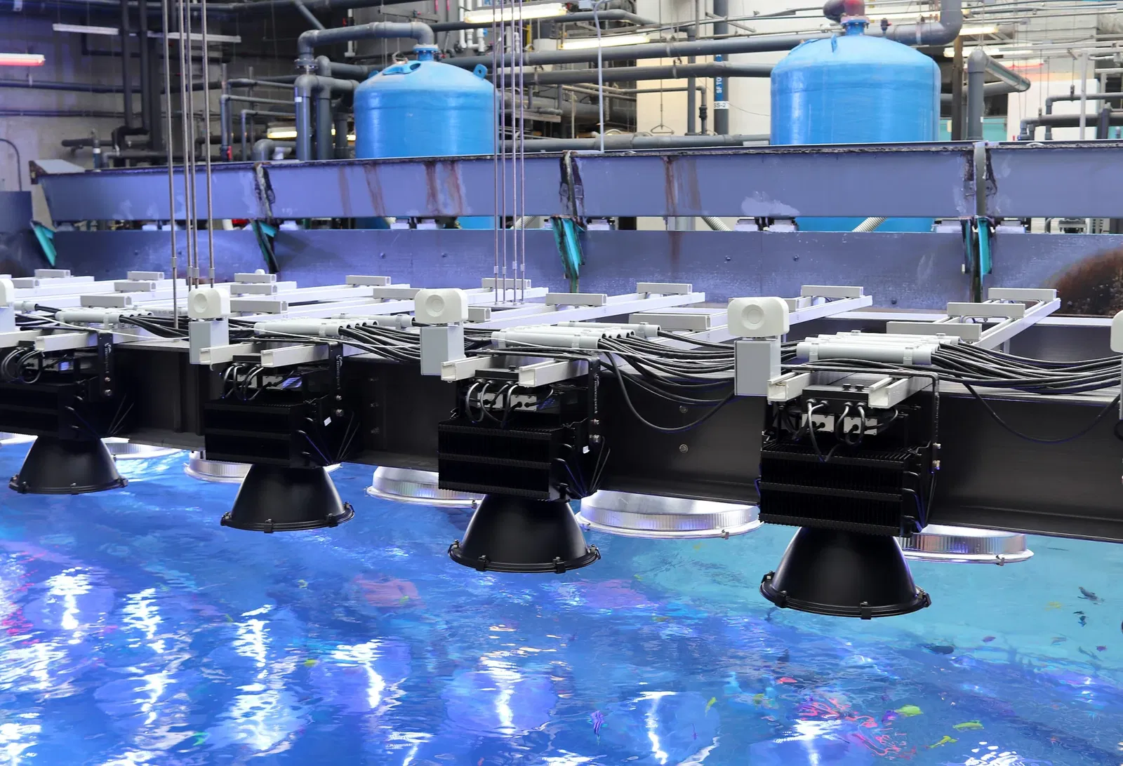 Acquario della Georgia