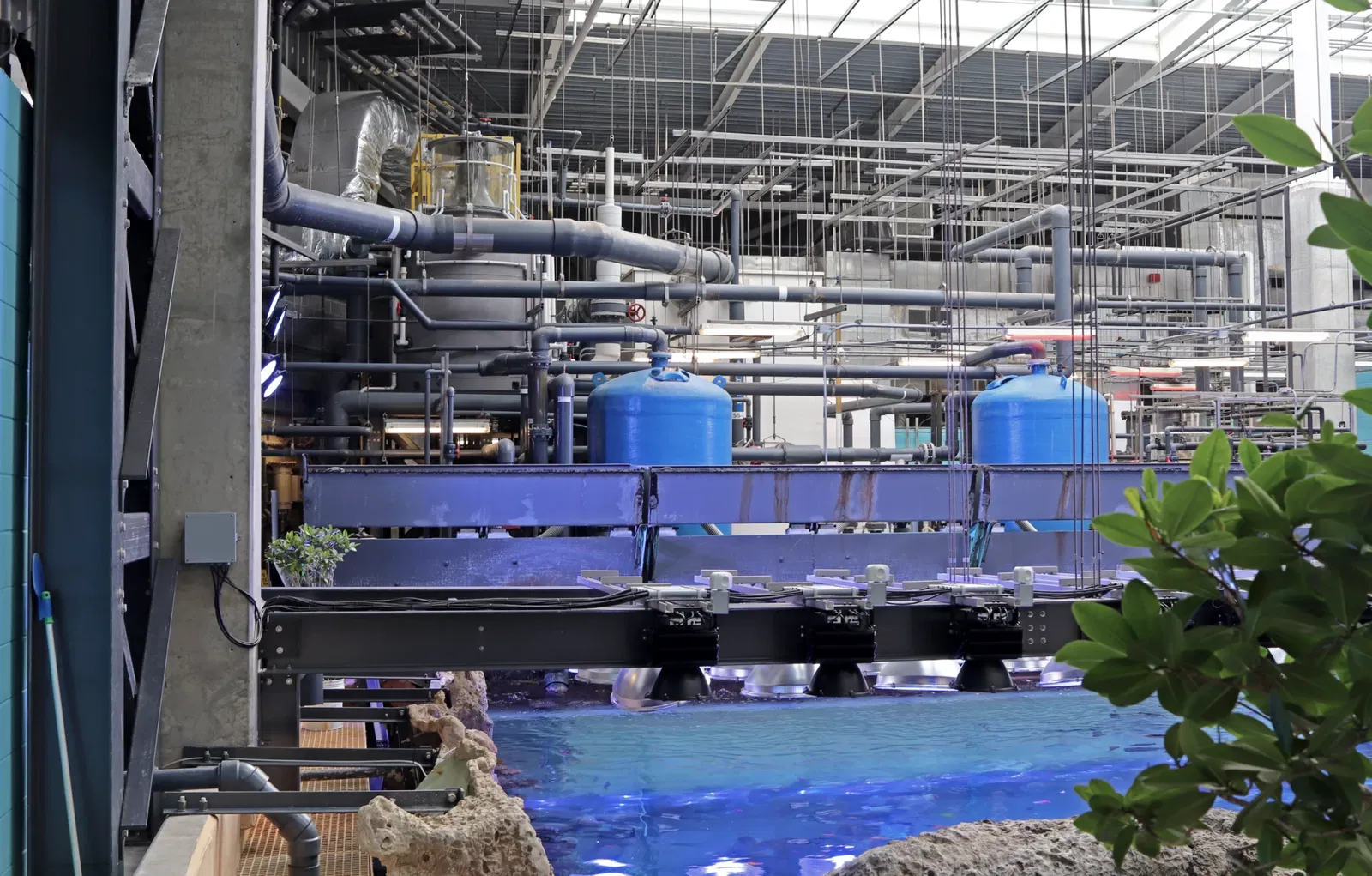 Aquarium de Géorgie