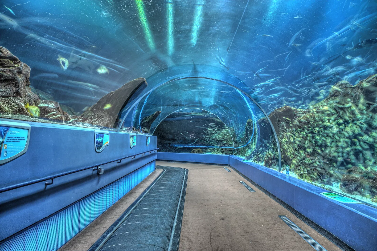 Georgia Aquarium