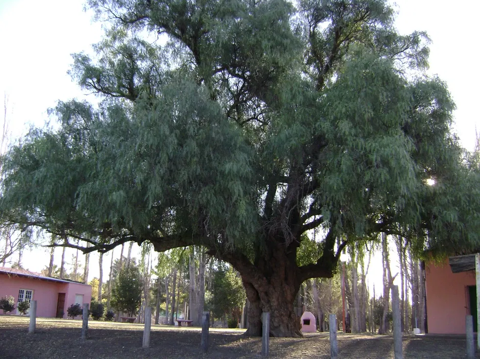 Museo Fortín Cuatreros