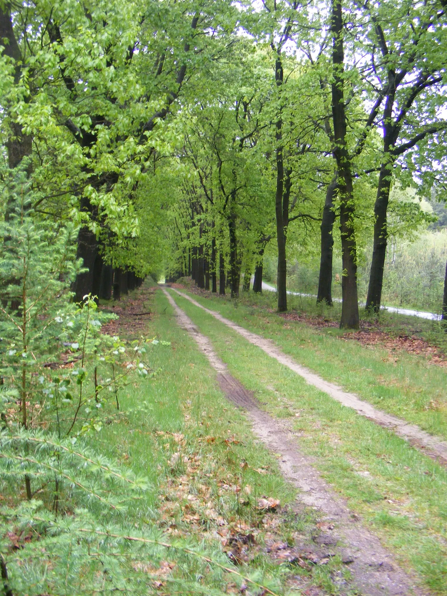 De Hoge Veluwe National Park