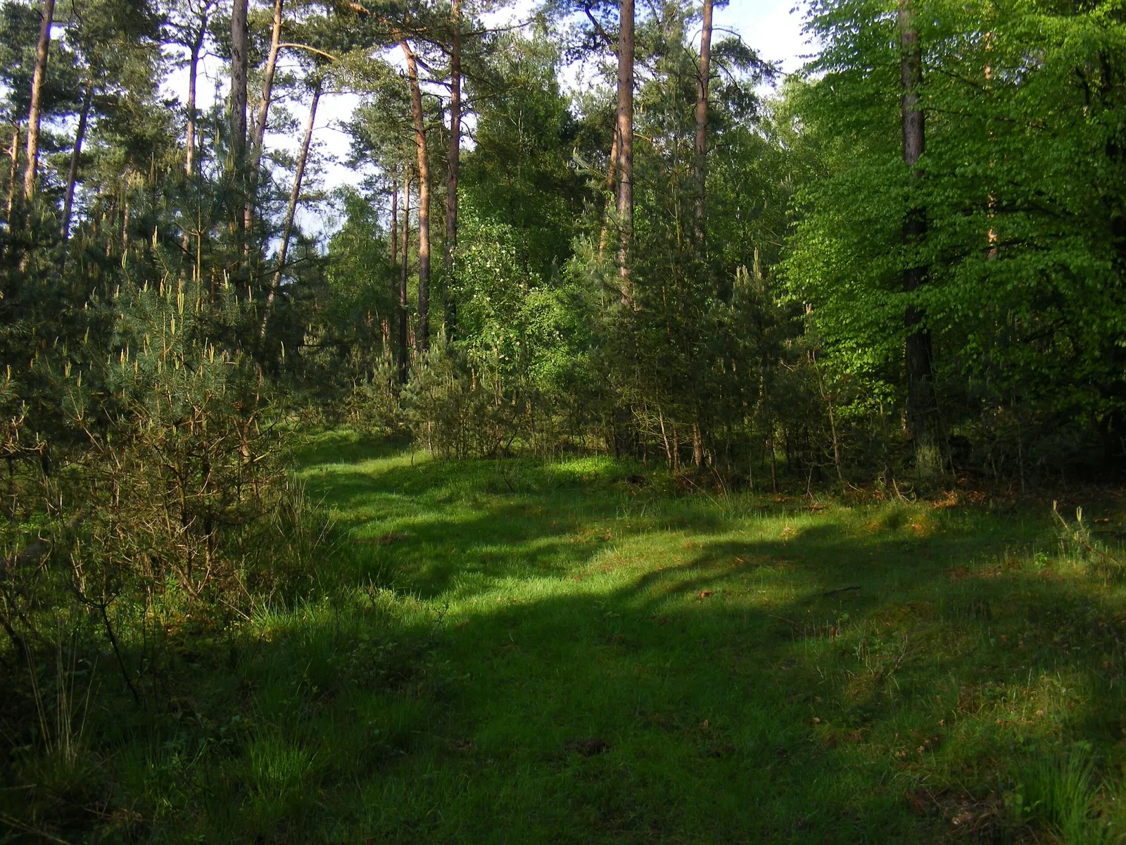 De Hoge Veluwe National Park