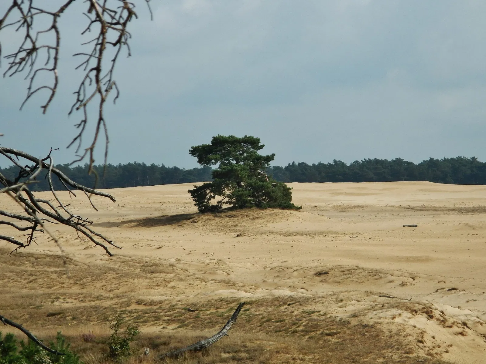 De Hoge Veluwe National Park
