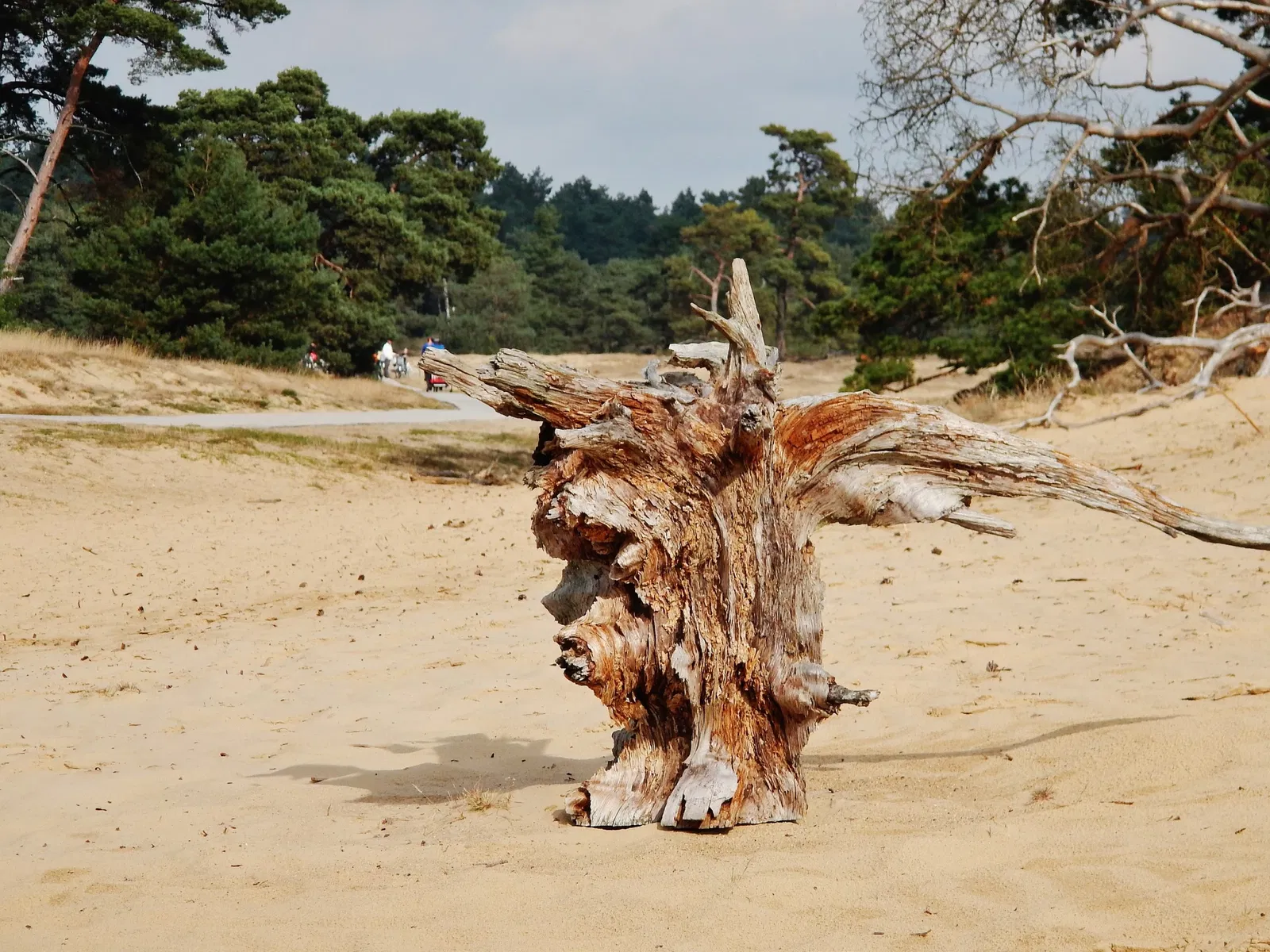 De Hoge Veluwe National Park