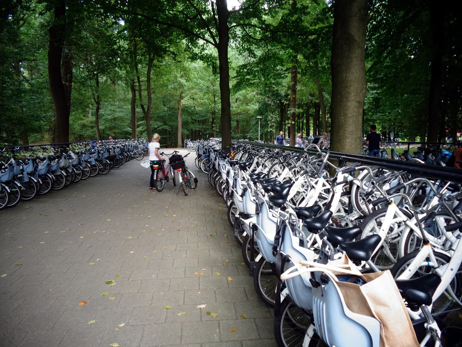 De Hoge Veluwe National Park