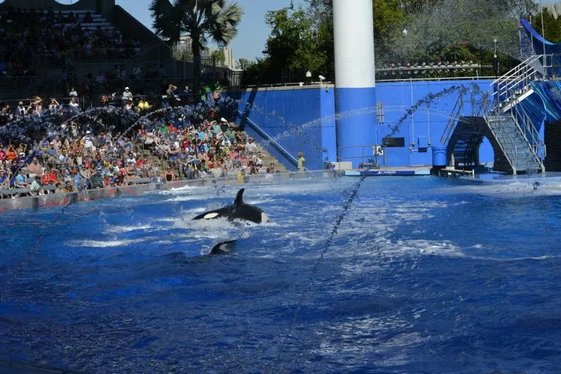 SeaWorld Orlando