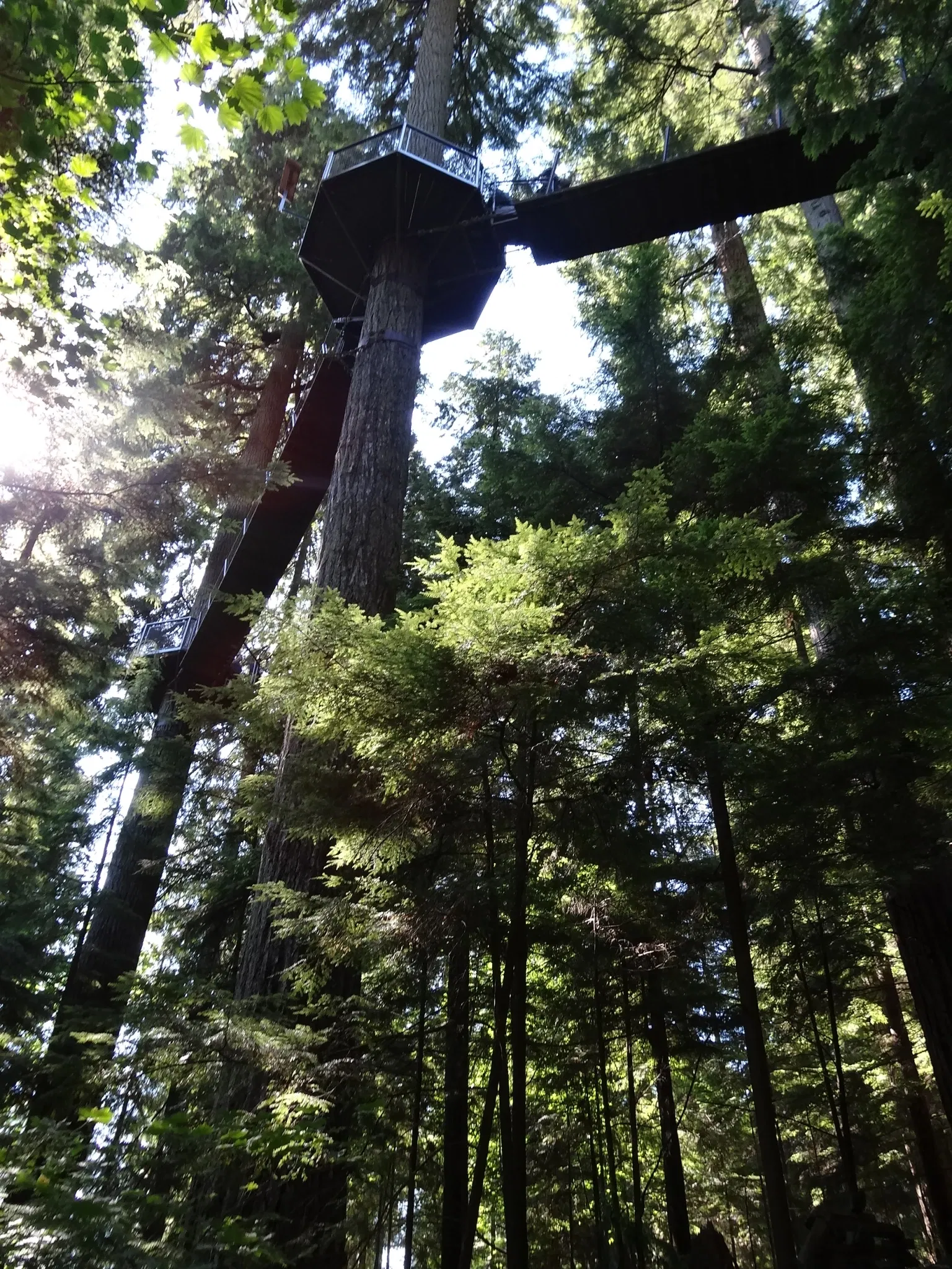 Capilano Suspension Bridge