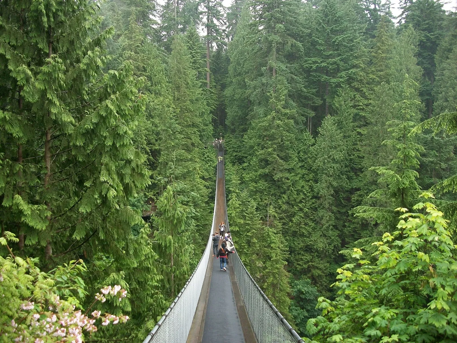 Pont suspendu de Capilano